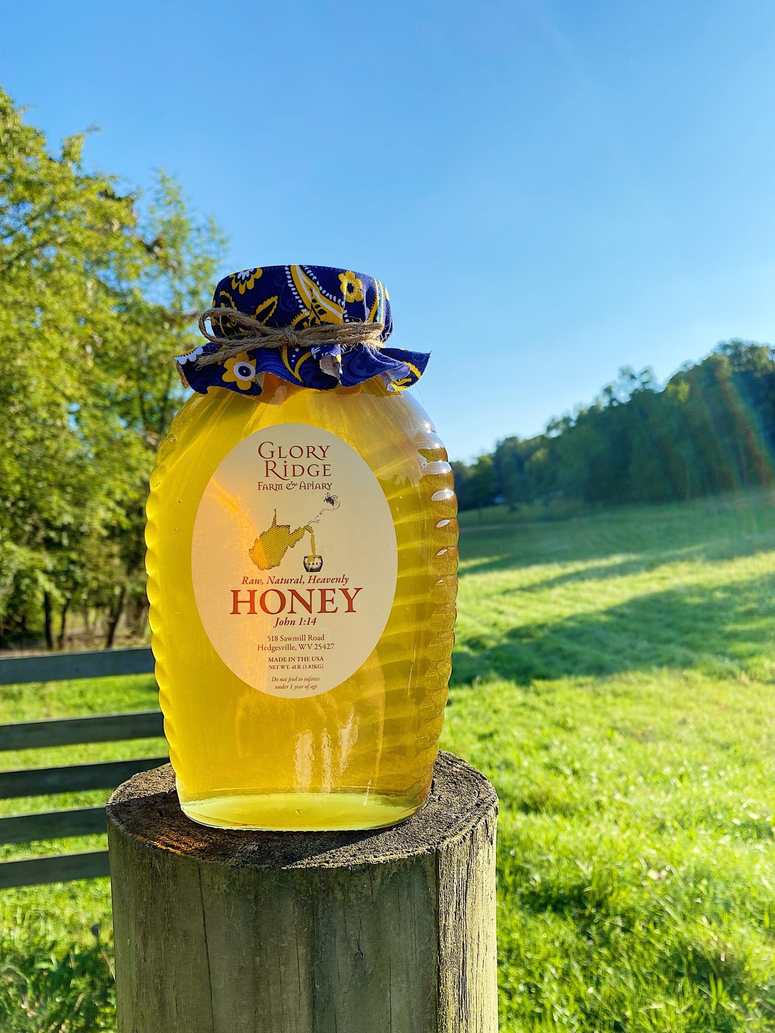 4 lb Honey